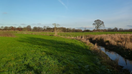 The river Geilenbek near Neumünster Ruthenberg