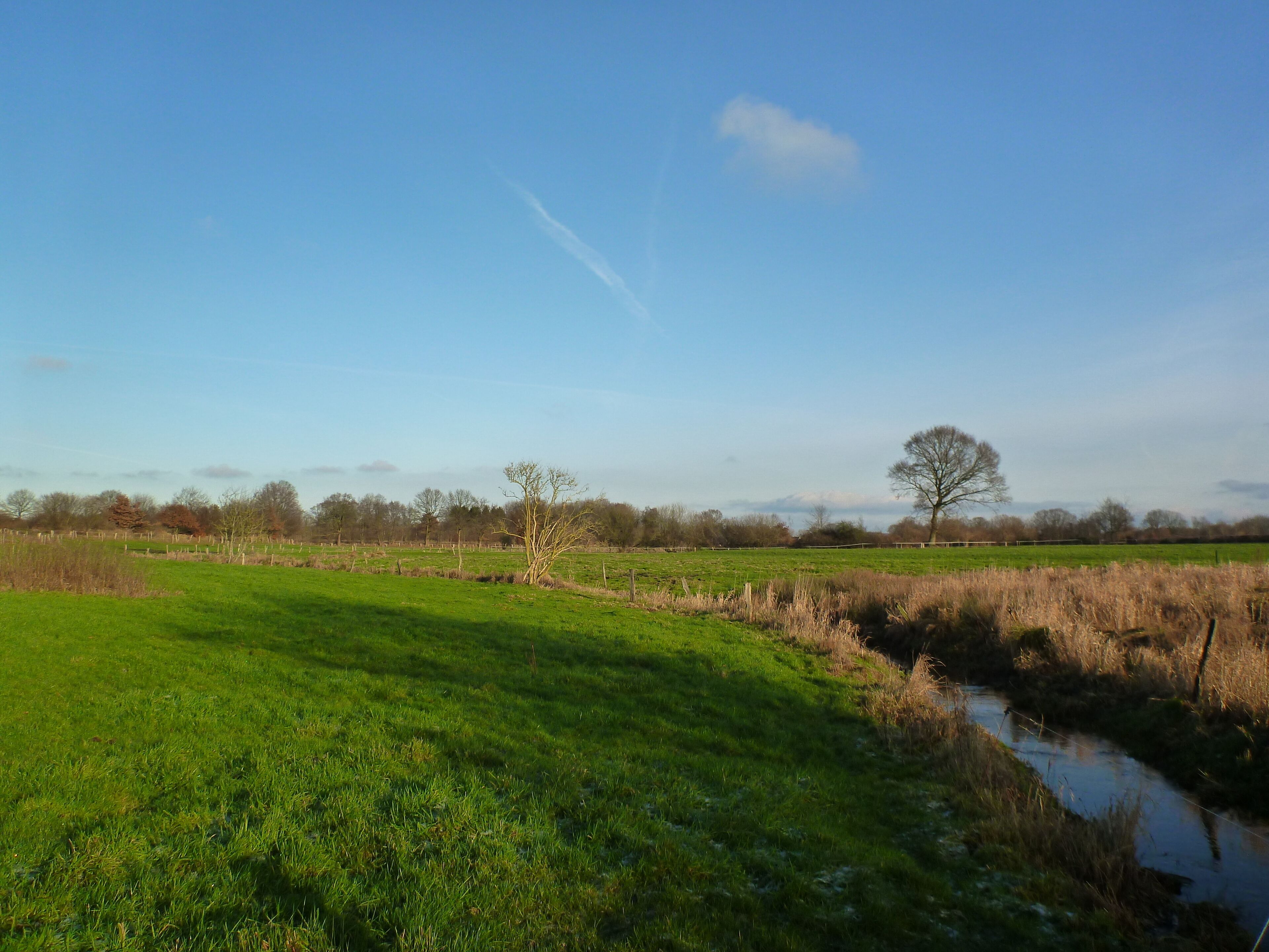A rural landscape with a grassy field, a small stream, and trees in the background.