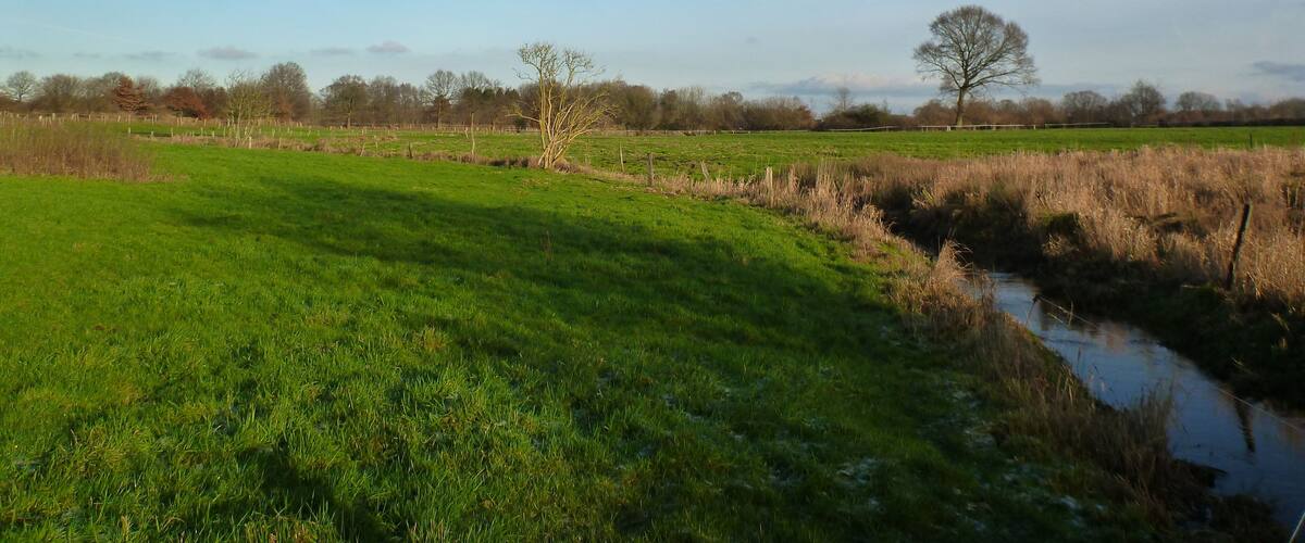 A rural landscape with a grassy field, a small stream, and trees in the background.