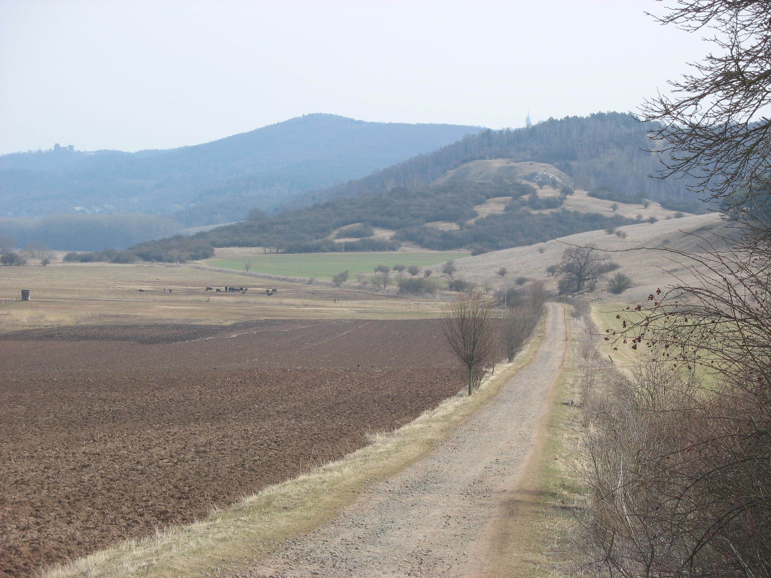 Blick auf das Naturschutzgebiet „Schloßberg – Solwiesen“ vom Weg aus Auleben. Im Hintergrund sieht man den Kyffhäuser mit der Rothenburg und dem Fernsehturm.