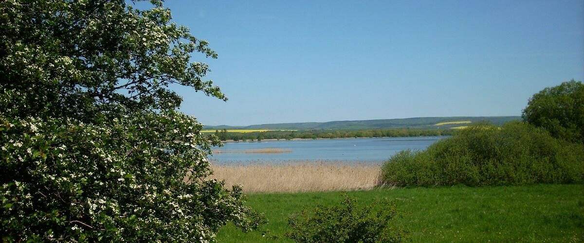 A lake surrounded by green fields and trees.
