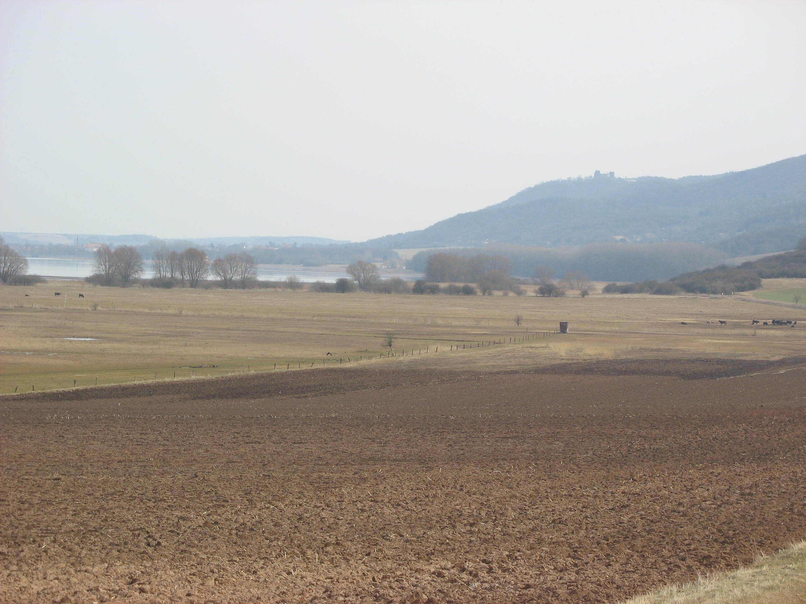 Blick auf das Naturschutzgebiet „Schloßberg – Solwiesen“ vom Weg aus Auleben. Im Hintergrund sieht man den Kelbraer Stausee und den Kyffhäuser mit der Rothenburg.