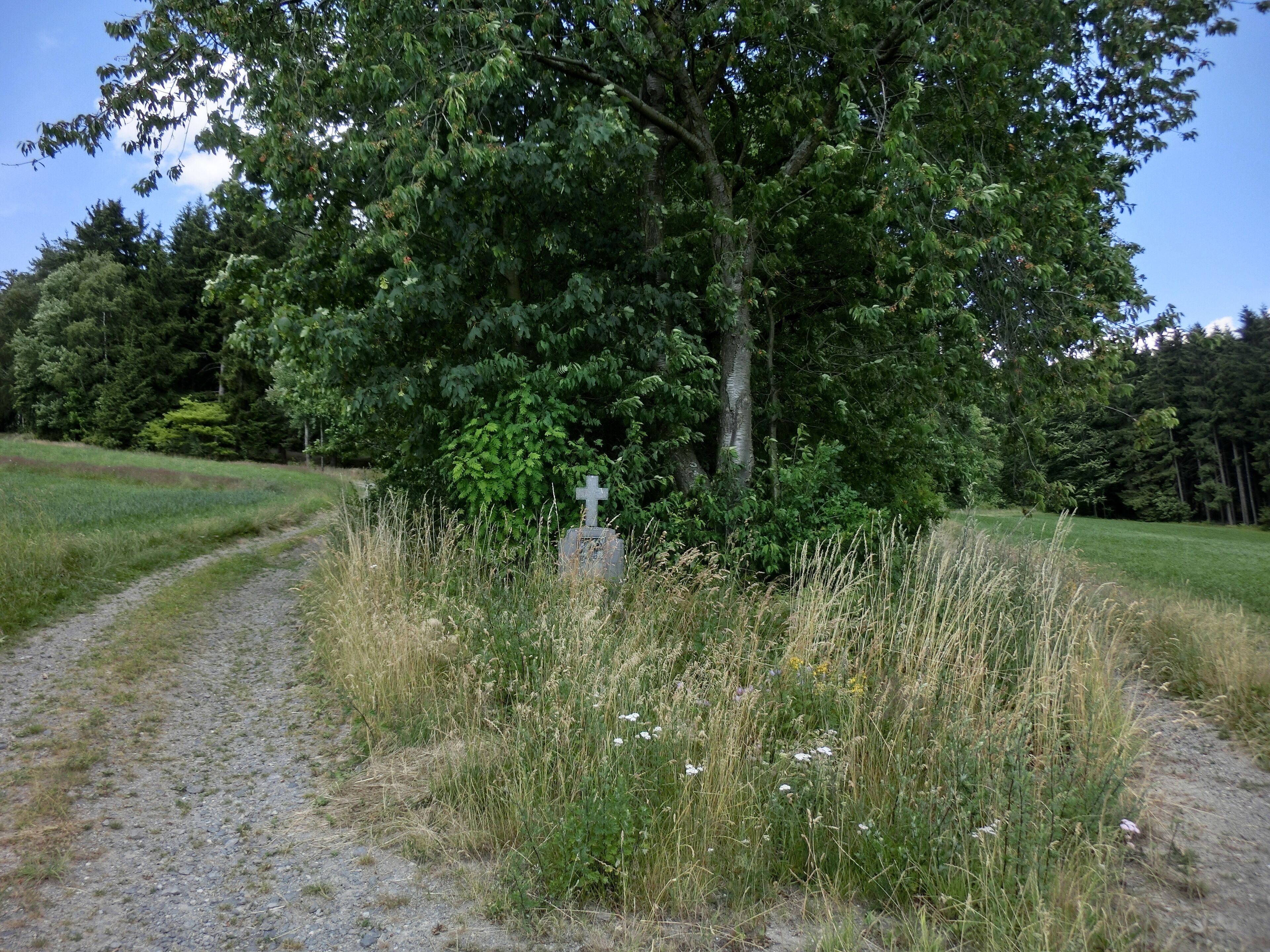 Wegkreuz bei Döberein