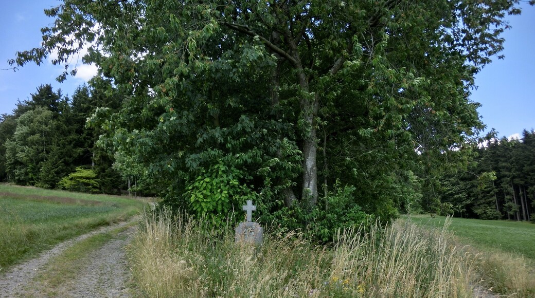 Wegkreuz bei Döberein