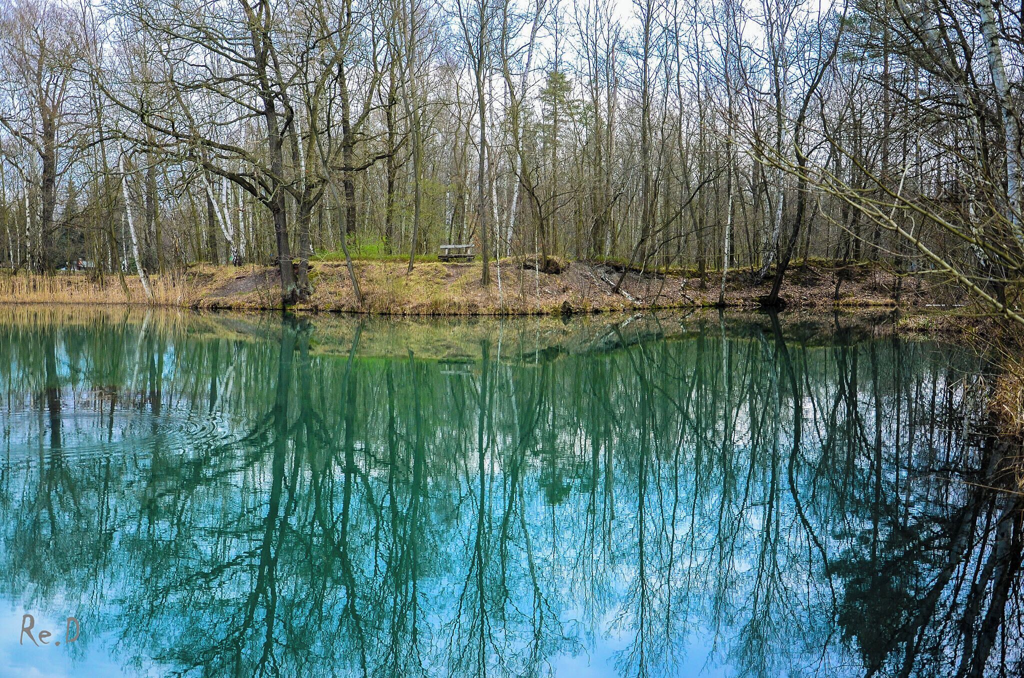 A serene lake surrounded by trees, with a bench and a small path leading to it.