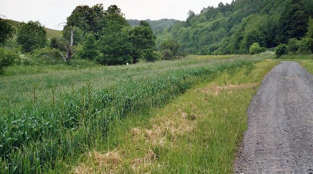 Bornstedt (bei Eisleben), in the valley of the Rohne