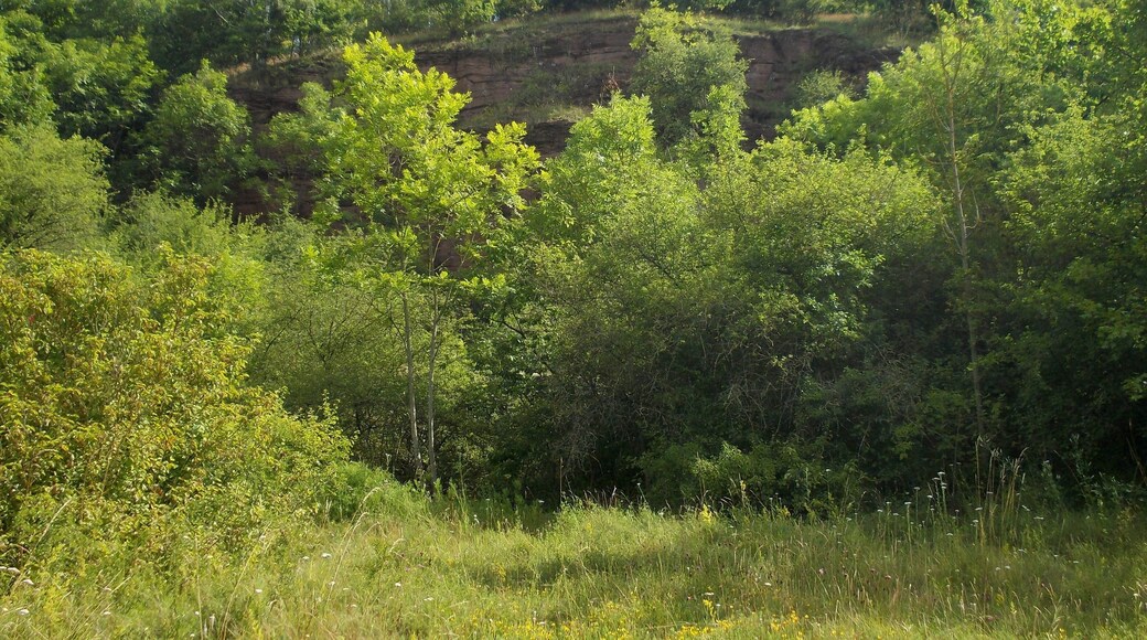 Rocks near Bornstedt (Mansfeld-Südharz district, Saxony-Anhalt)