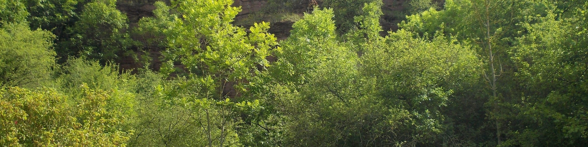Rocks near Bornstedt (Mansfeld-SĂŒdharz district, Saxony-Anhalt)