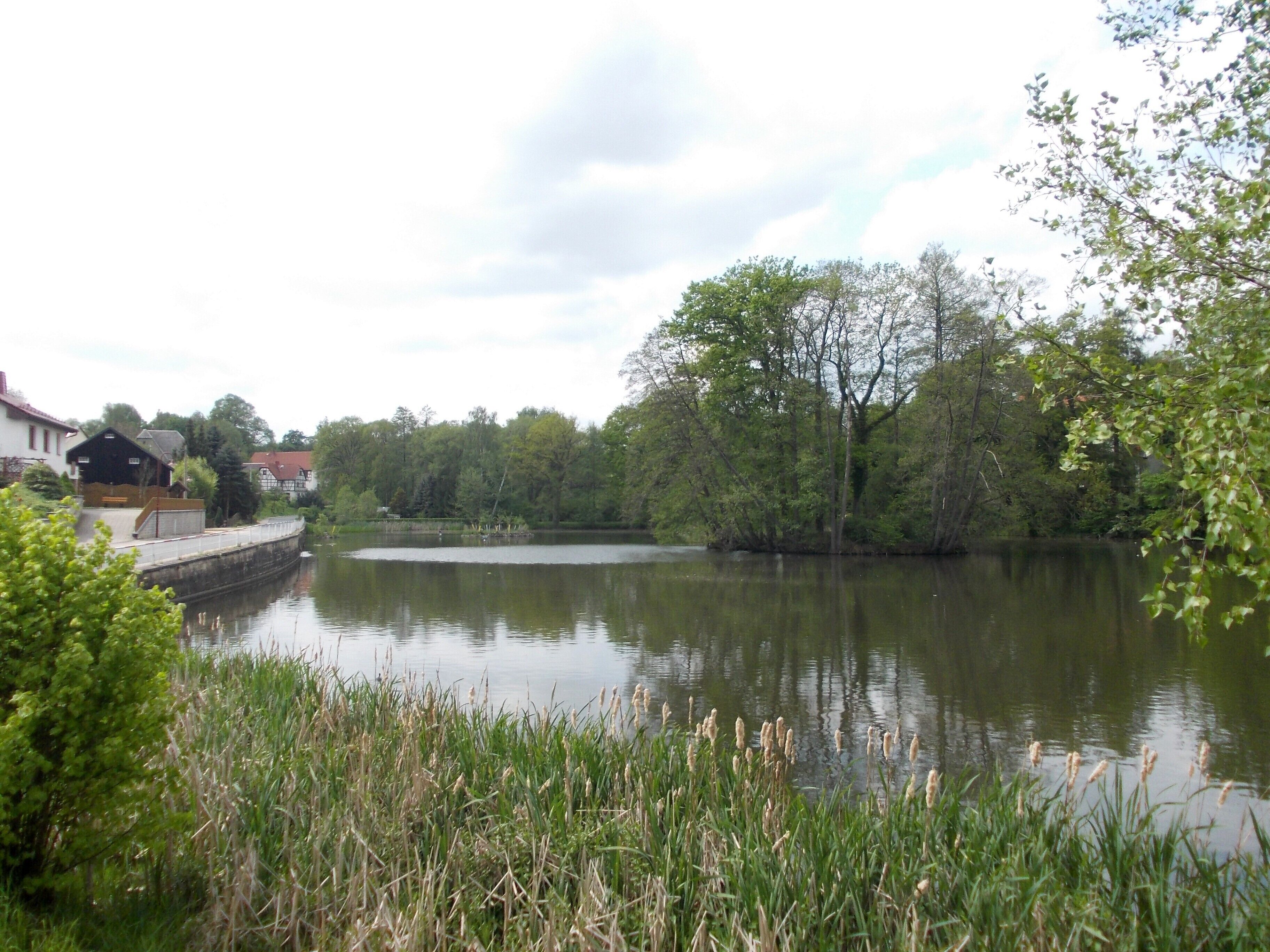 Schlossteich pond in Königsfeld (Mittelsachsen district, Saxony)