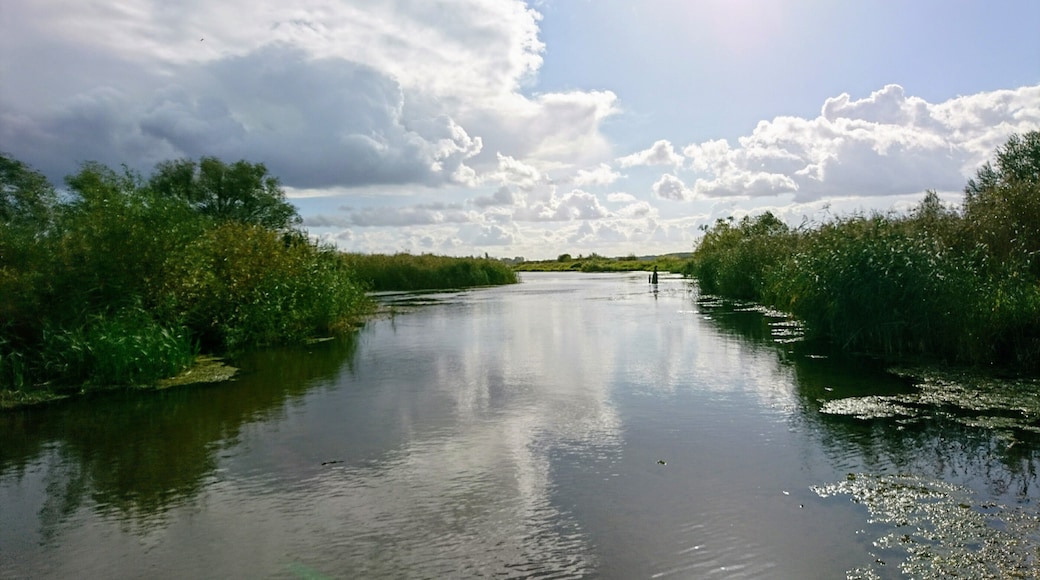 Blick auf den Biederitzer See