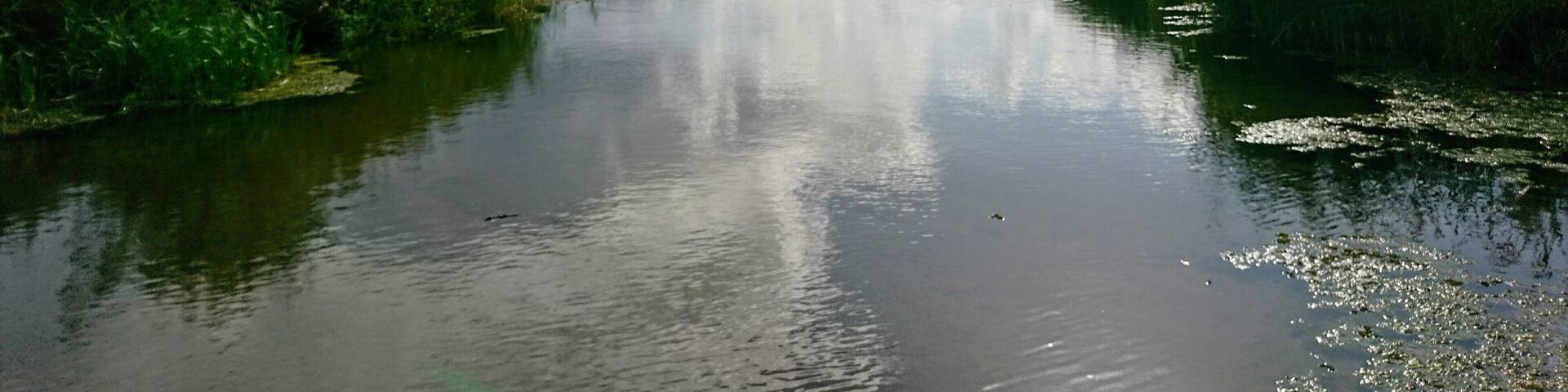 Blick auf den Biederitzer See