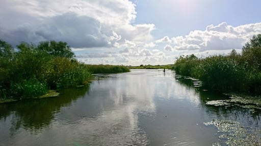 Blick auf den Biederitzer See
