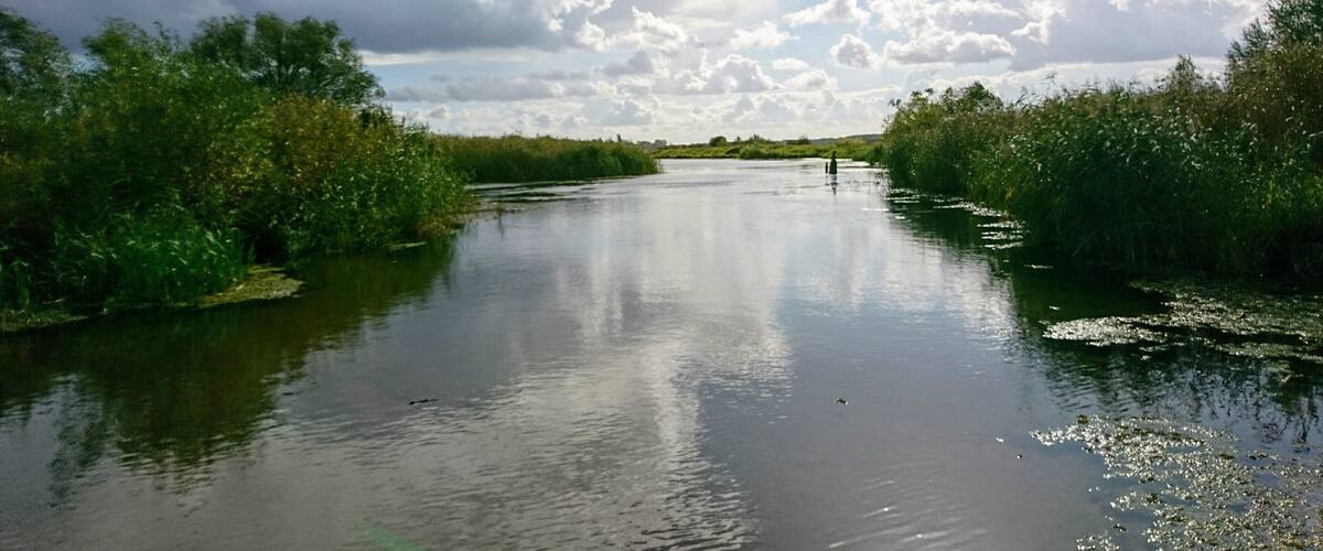 A calm river flanked by dense greenery under a partly cloudy sky.