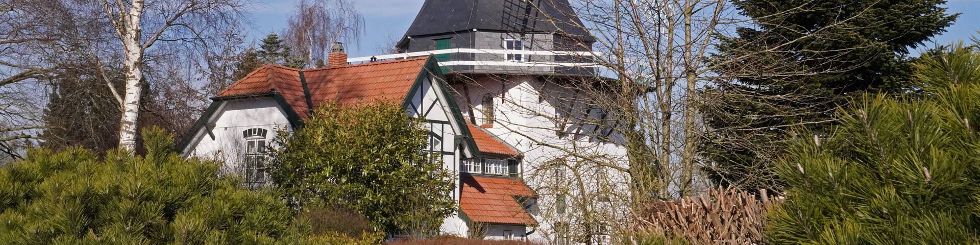 A traditional windmill with a white and green structure, surrounded by trees and a clear blue sky.