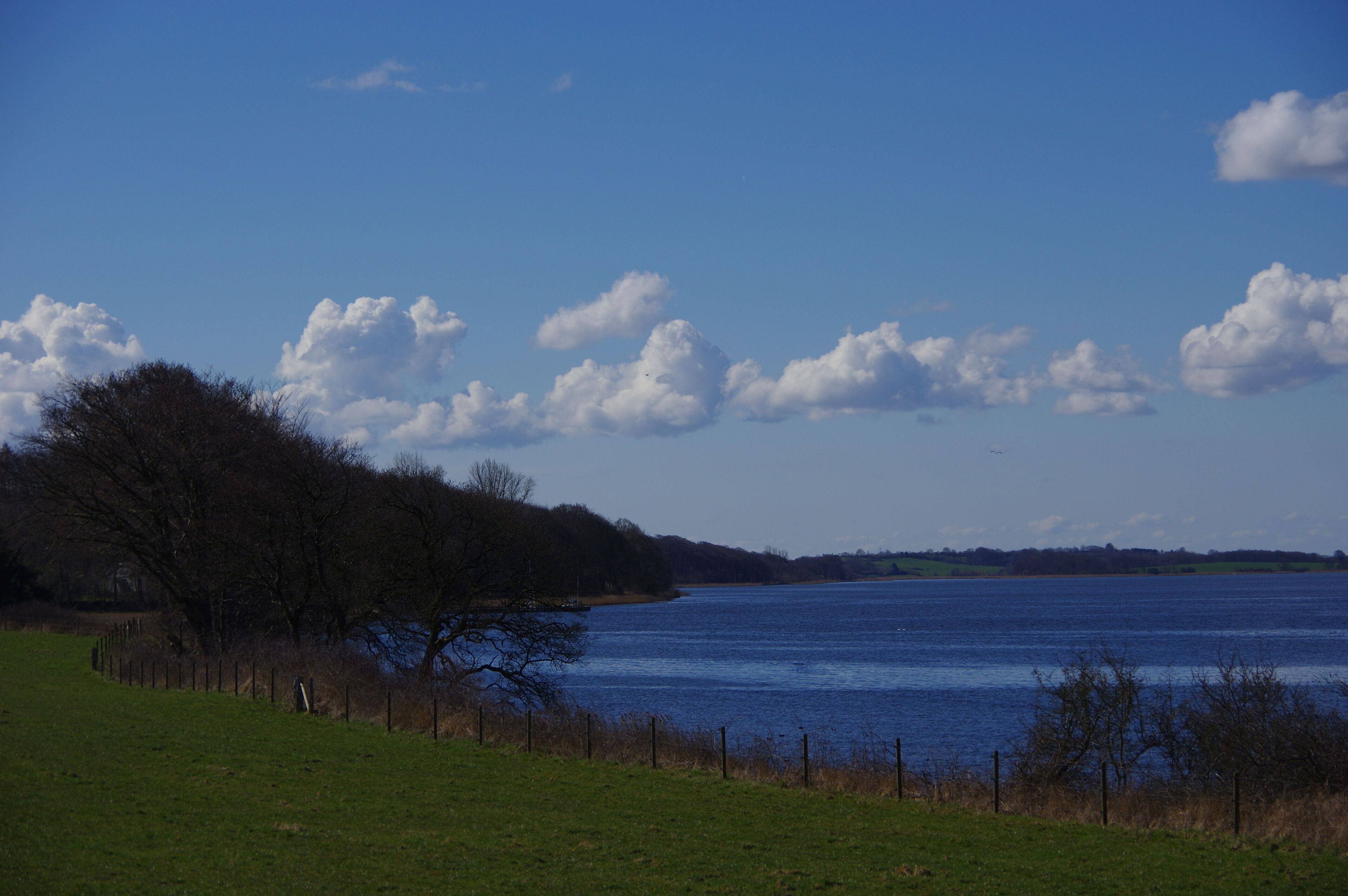 Der Naturpark Schlei in Schleswig Holstein. Der Standort in den EXIF Daten gespeichert.