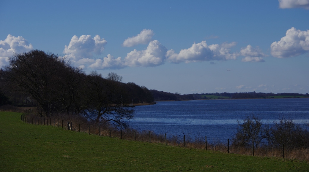Der Naturpark Schlei in Schleswig Holstein. Der Standort in den EXIF Daten gespeichert.