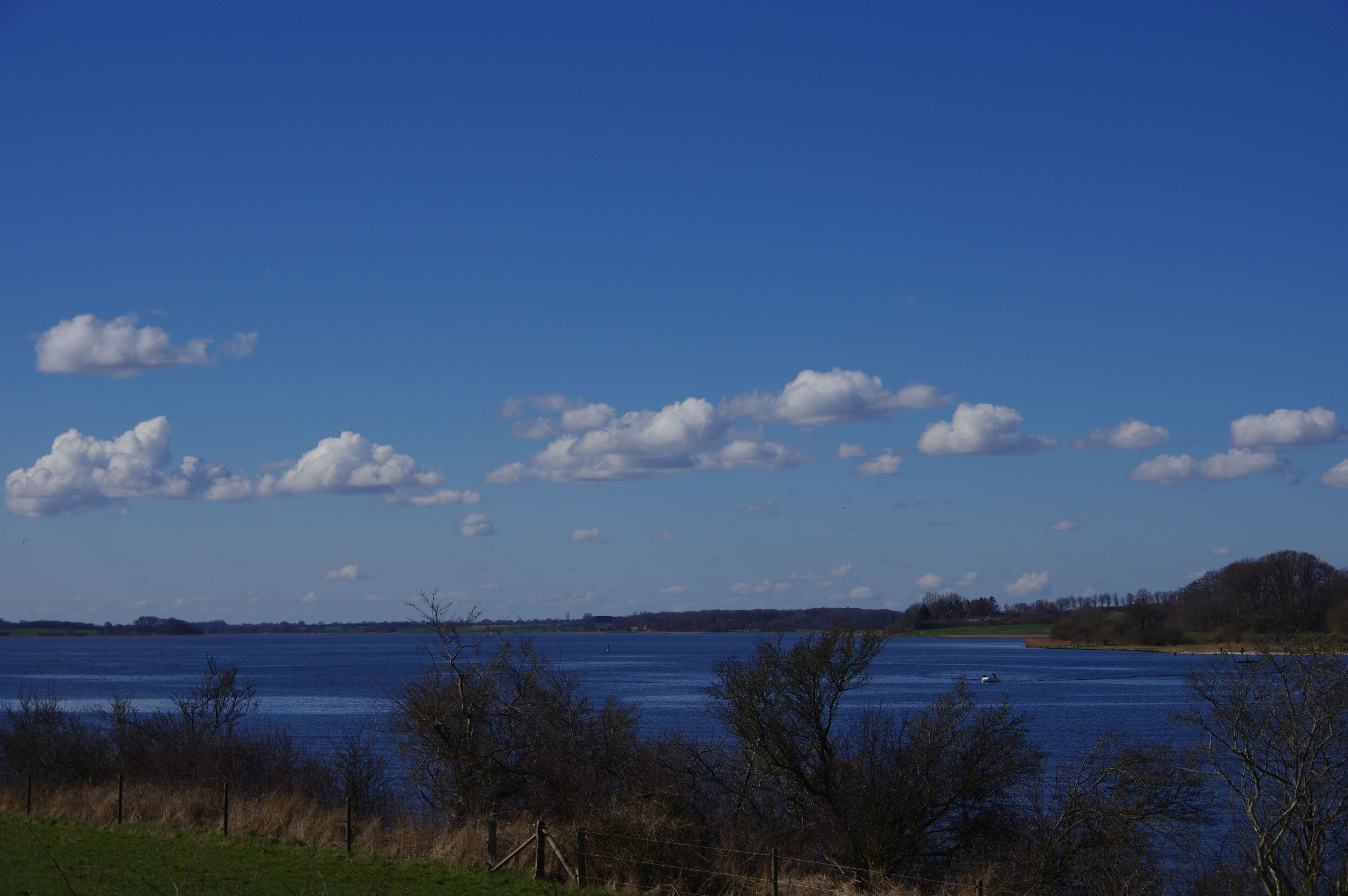 Der Naturpark Schlei in Schleswig Holstein. Der Standort in den EXIF Daten gespeichert.