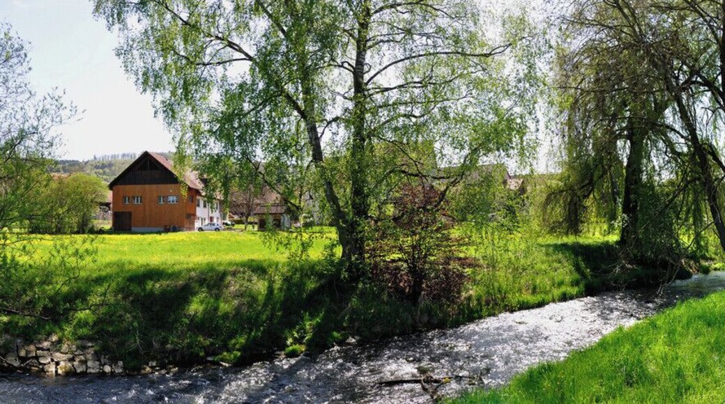 Switzerland, Canton of Schaffhausen, view of the river Biber in Buch