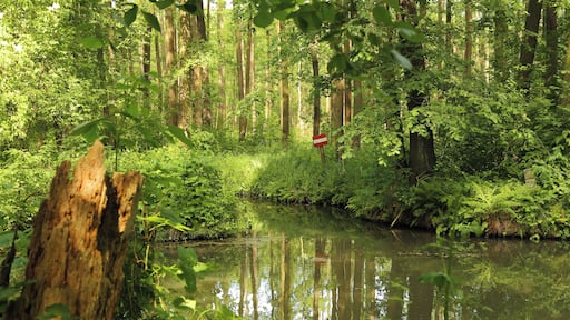 This is a picture of the protected area listed at WDPA under the ID