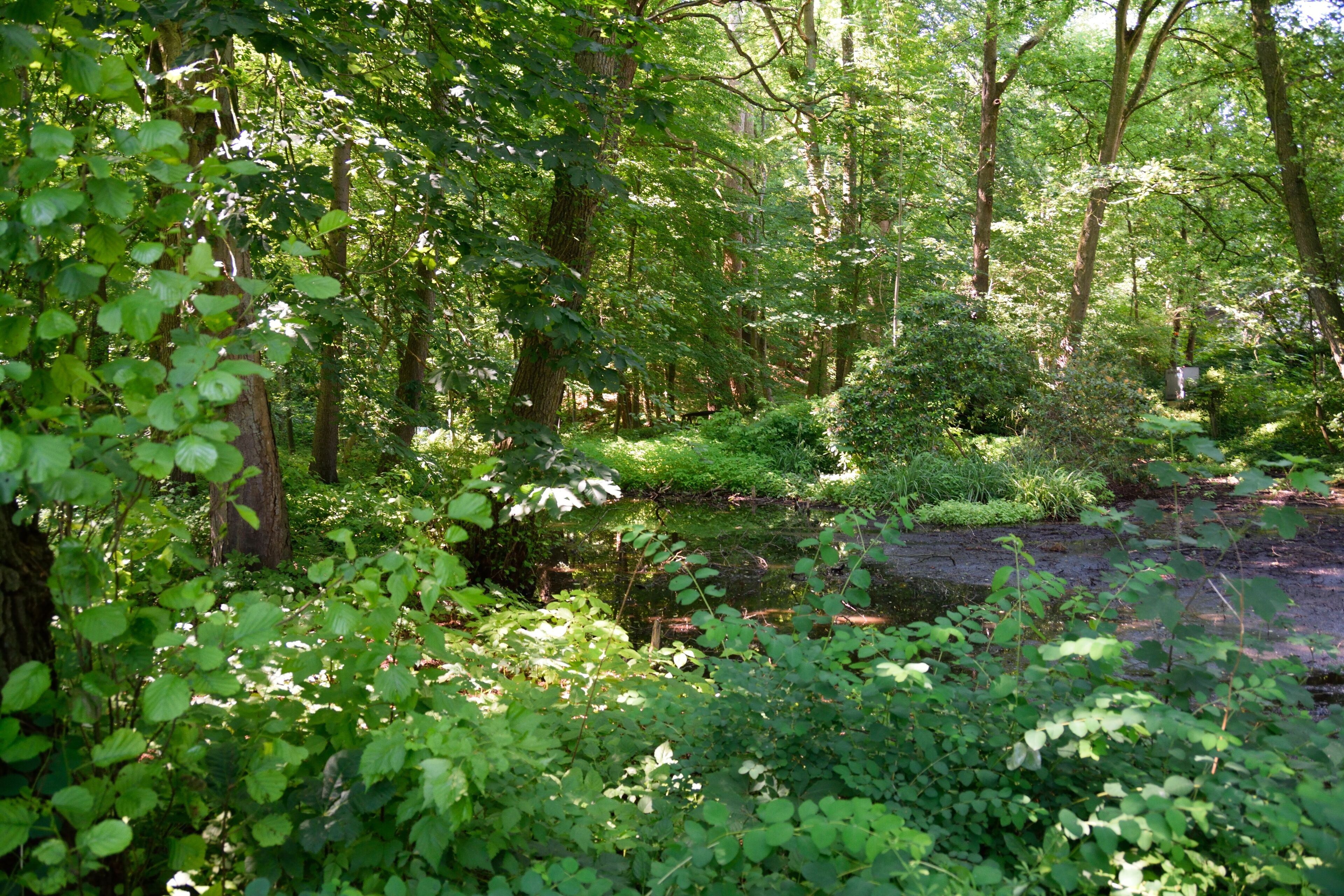 This image was uploaded as part of Wiki Loves Earth 2014.