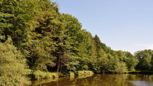 This image was uploaded as part of Wiki Loves Earth 2014.