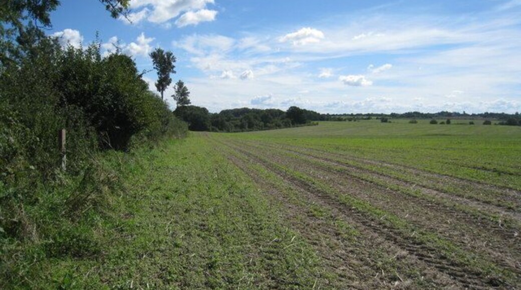 Ackerland bei Retelsdorf