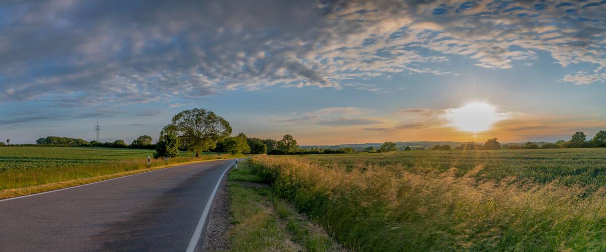 Panoramic view of the beautiful hilly landscape of Holstein Switzerland by Blekendorf, Schleswig-Holstein, GermanyCountry lane running through agricultural landscape with wheat fields, trees, schrubs