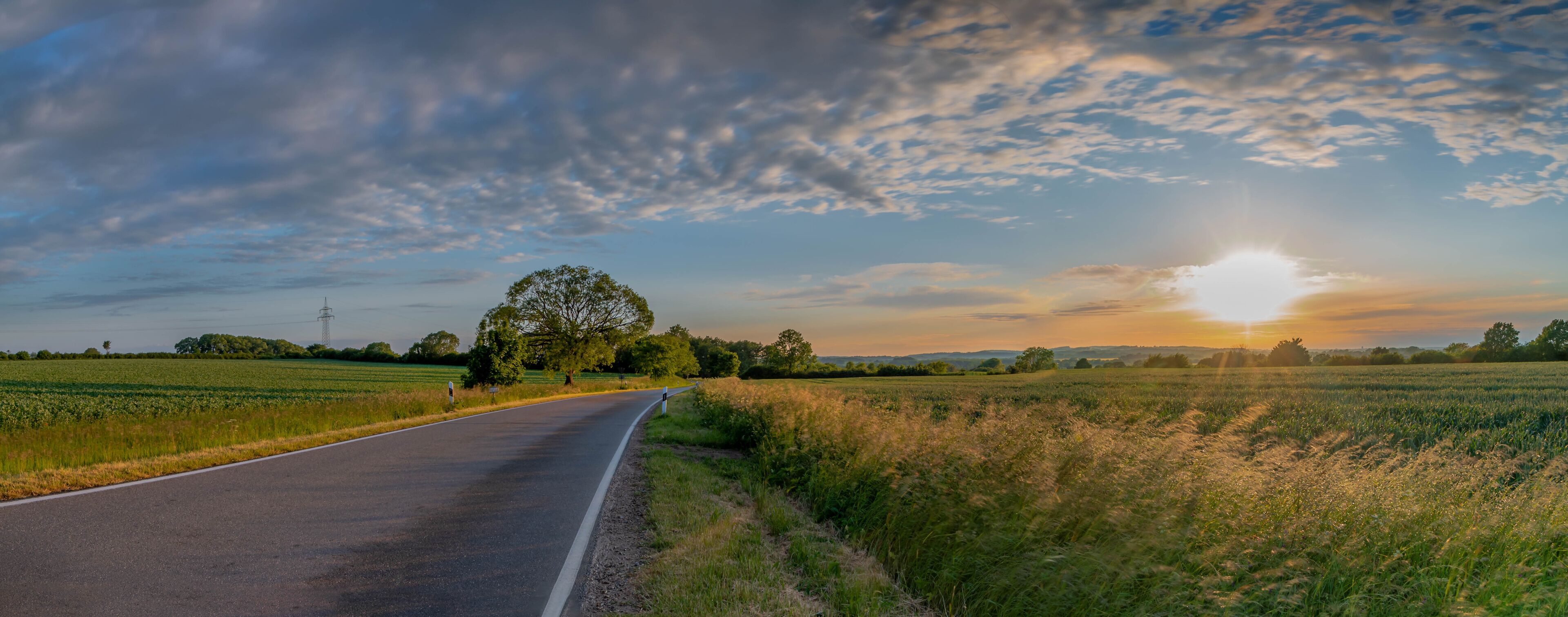 A rural road with fields on either side, a large tree, and a sunset in the distance.