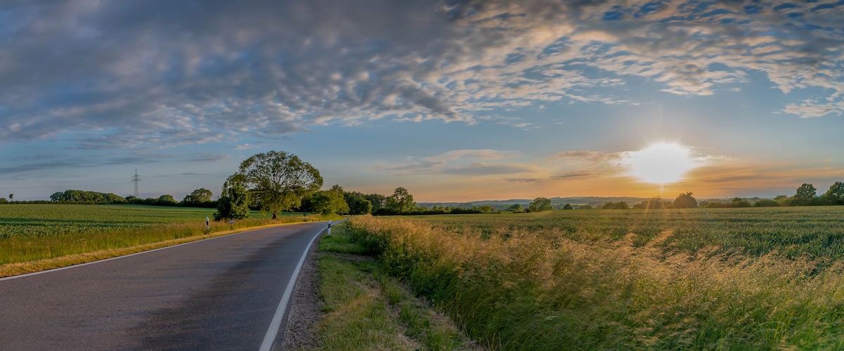 A rural road with fields on either side, a large tree, and a sunset in the distance.