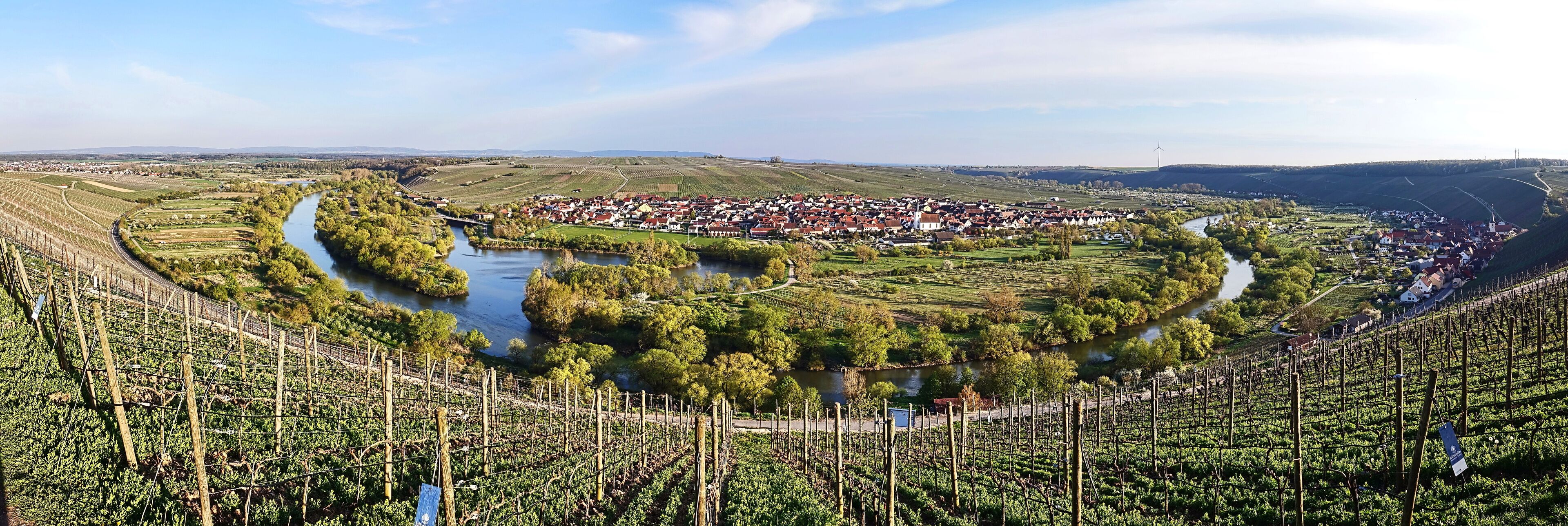 A vineyard with a river, a town, and hills in the background.