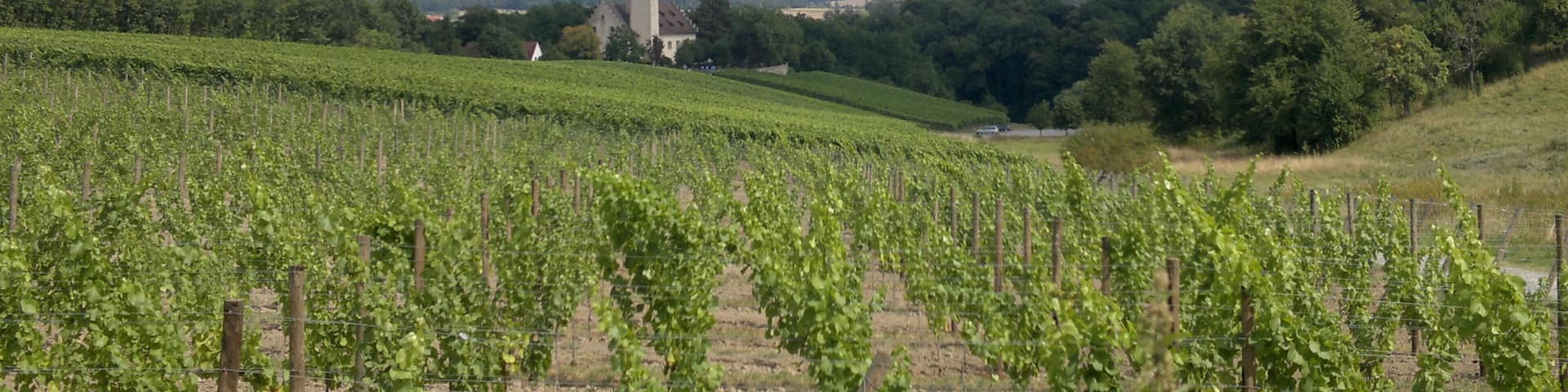 97334 Nordheim am Main, Germany