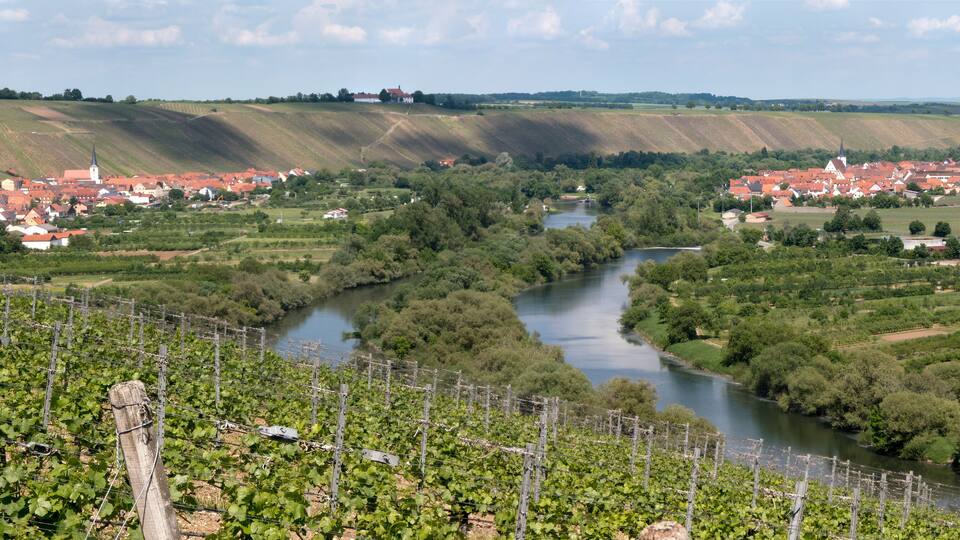 A vineyard with a river running through a town with red-roofed houses.