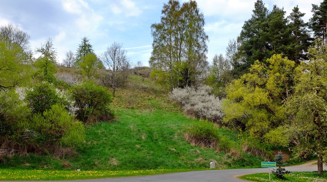 Přírodní rezervace Stráň u Dubiny, Smrčiny, okres Cheb