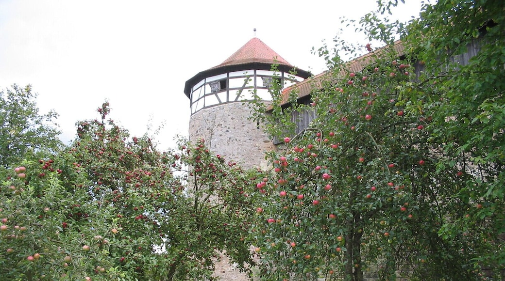 Durch die Apfelbäume