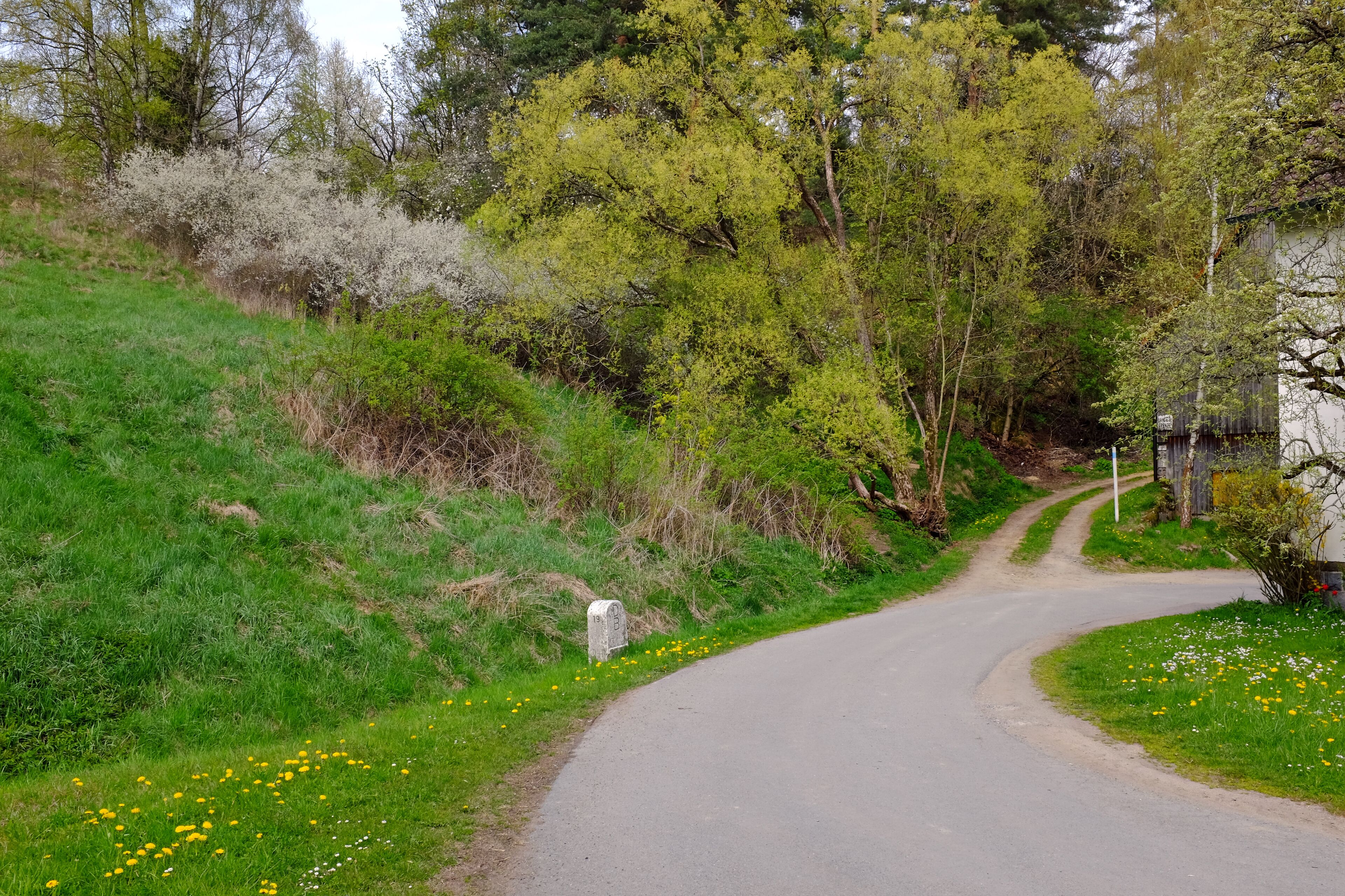 Přírodní rezervace Stráň u Dubiny, Smrčiny, okres Cheb