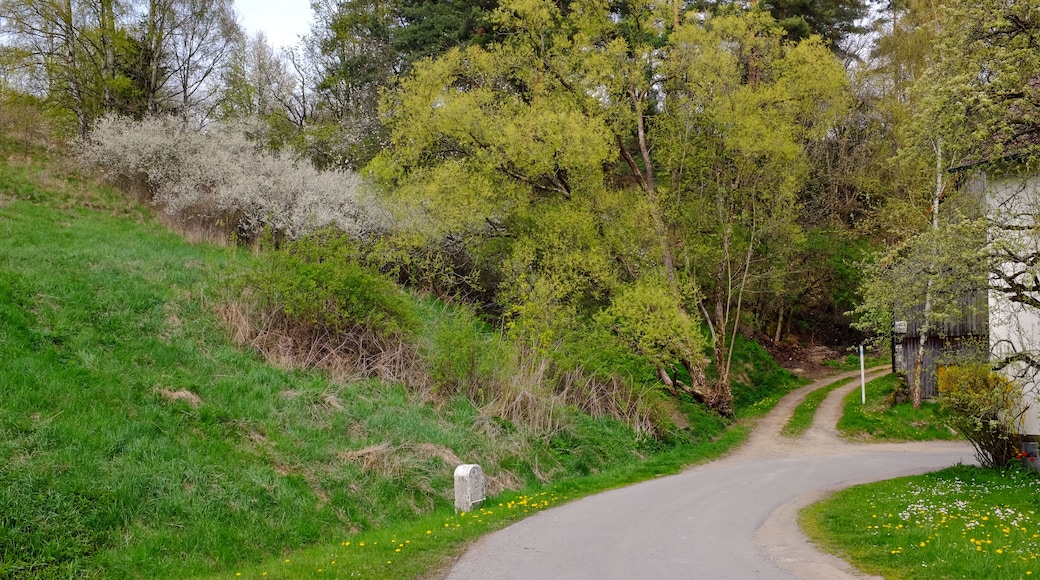 Přírodní rezervace Stráň u Dubiny, Smrčiny, okres Cheb