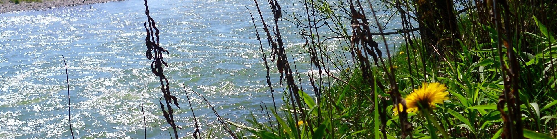 Die Isar im Mai in Geretsried