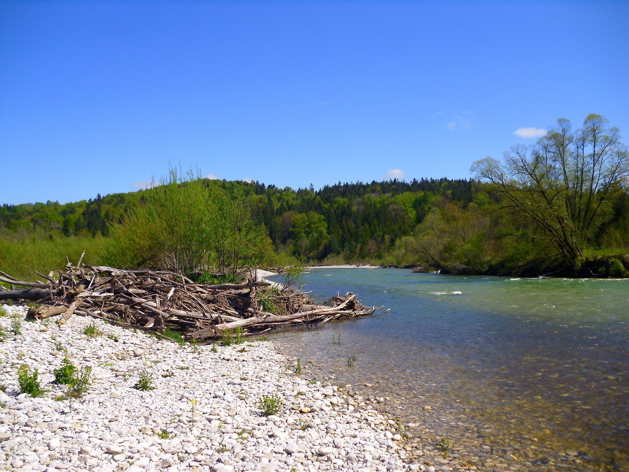 A clear river with a rocky shore and a forested hillside in the background.