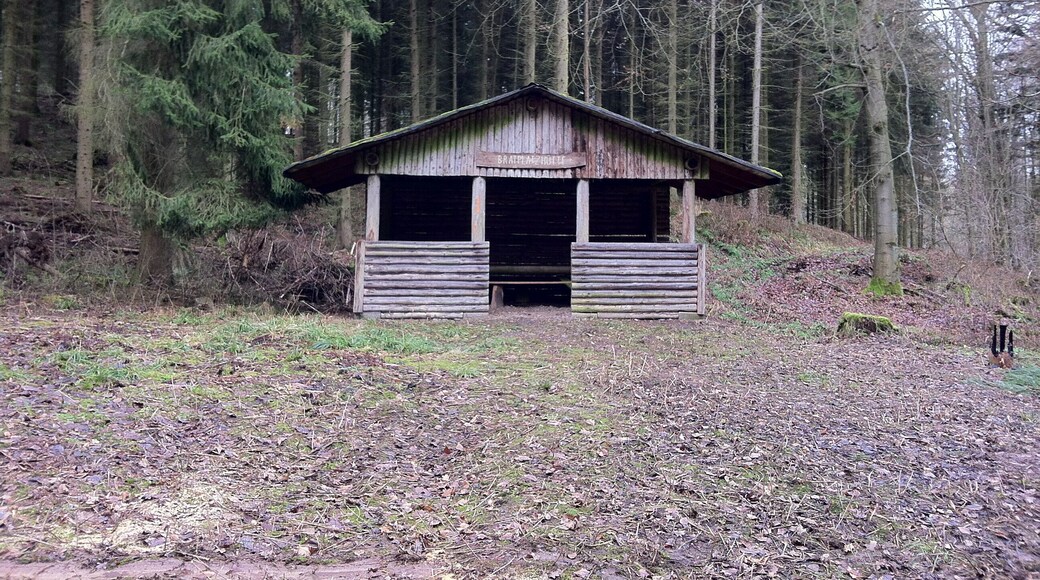 Bratplatzhütte vor Rüdershausen