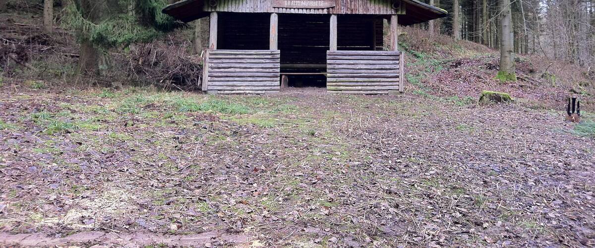 A rustic cabin surrounded by dense forest.