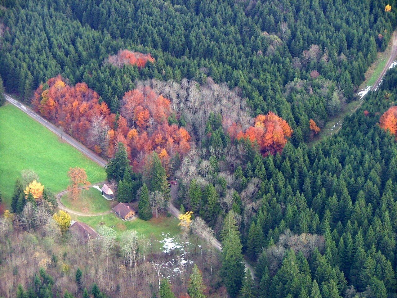 An aerial view of a forested area with autumn-colored trees, a small house, and a road.