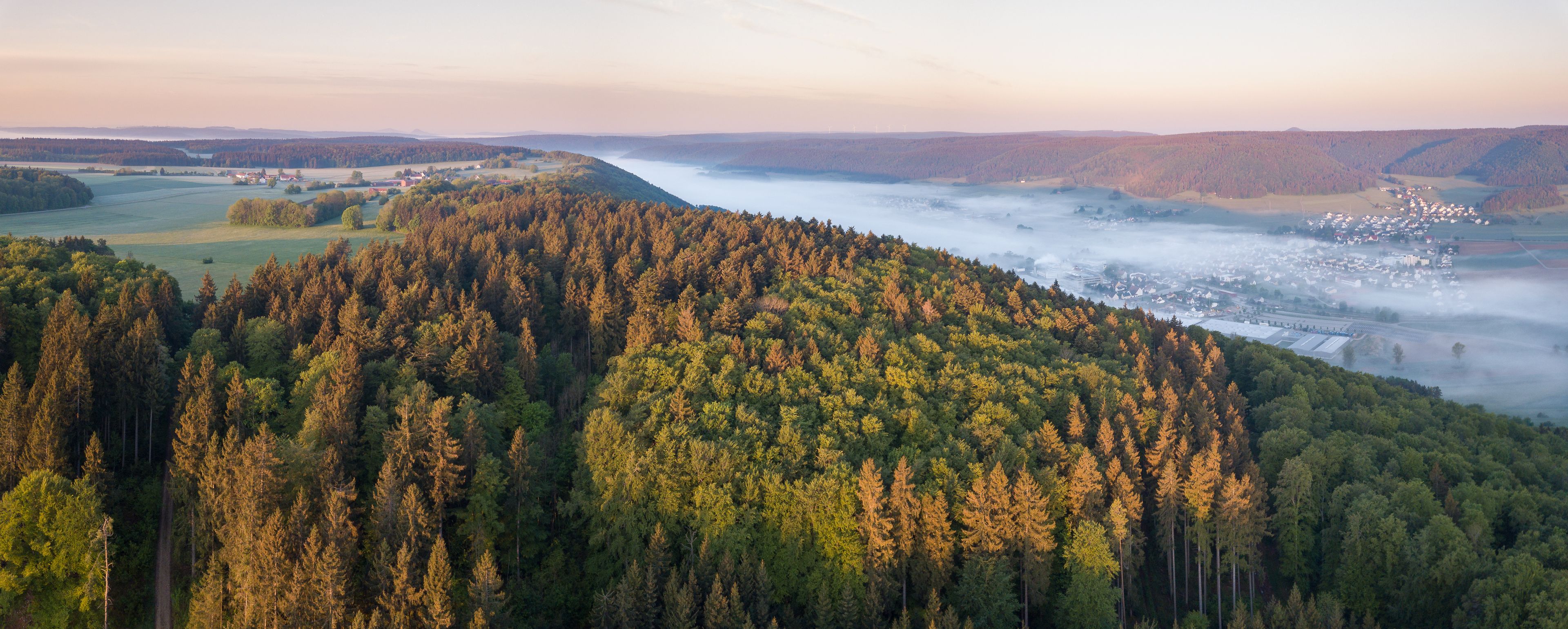 A forested valley with a river, mist, and distant buildings.