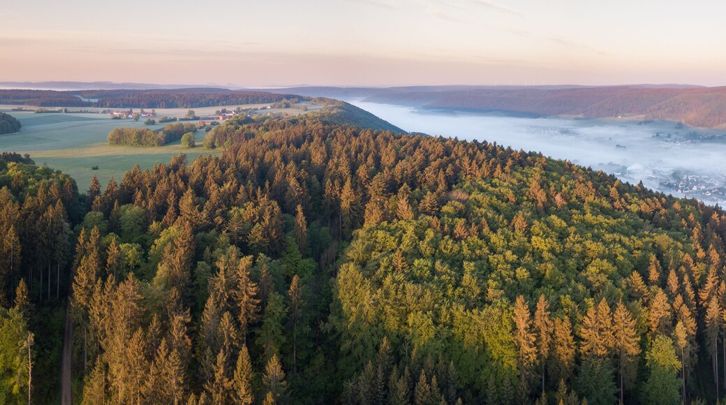 A forested valley with a river, mist, and distant buildings.