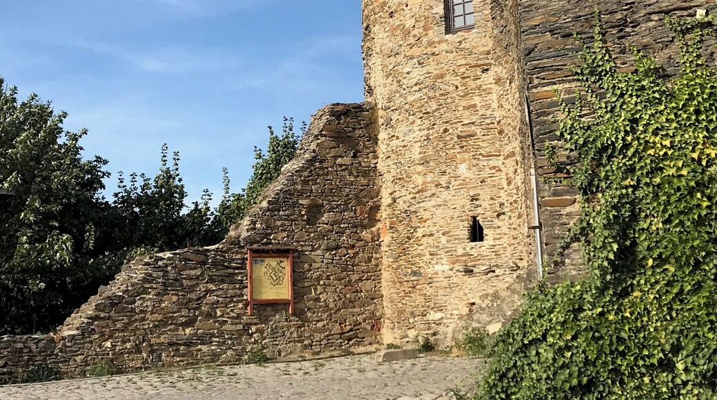 Burgruine Elsterberg (2018)