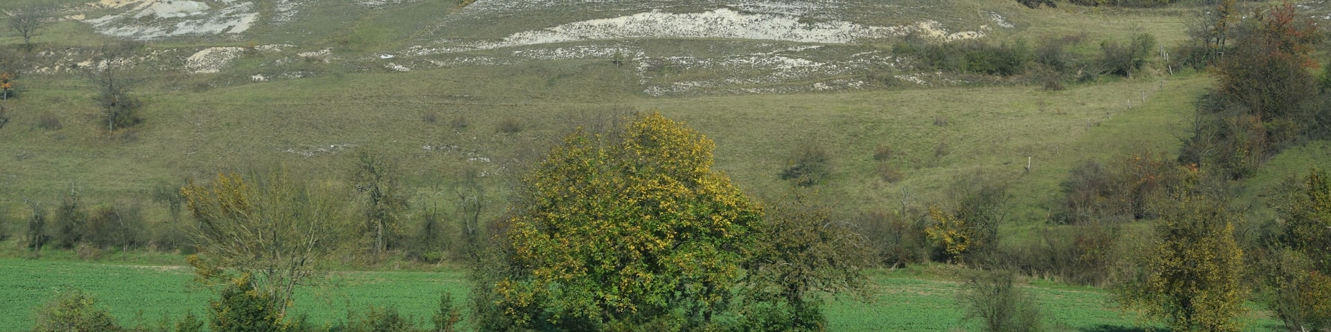 Kippenberg bei Steinthaleben