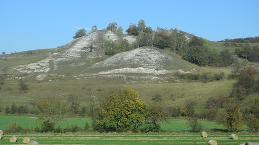 Kippenberg bei Steinthaleben
