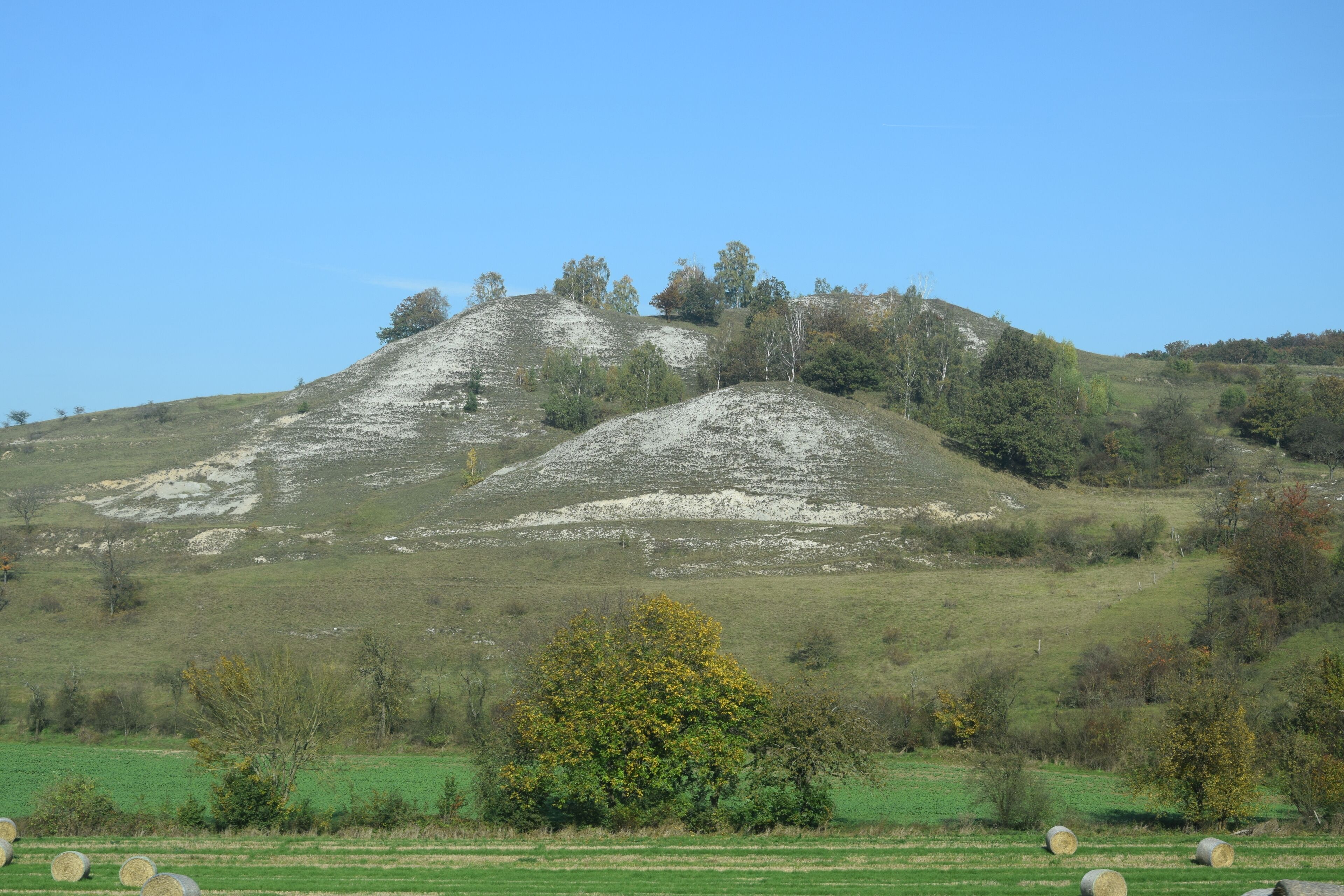 A grassy hill with hay bales and a tree in the foreground.