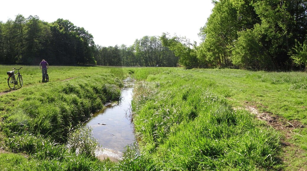Kindelfließ between Glienicke/Nordbahn and Schildow in Brandenburg, Germany