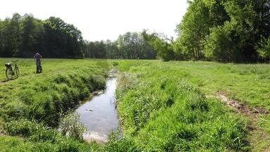 Kindelfließ between Glienicke/Nordbahn and Schildow in Brandenburg, Germany