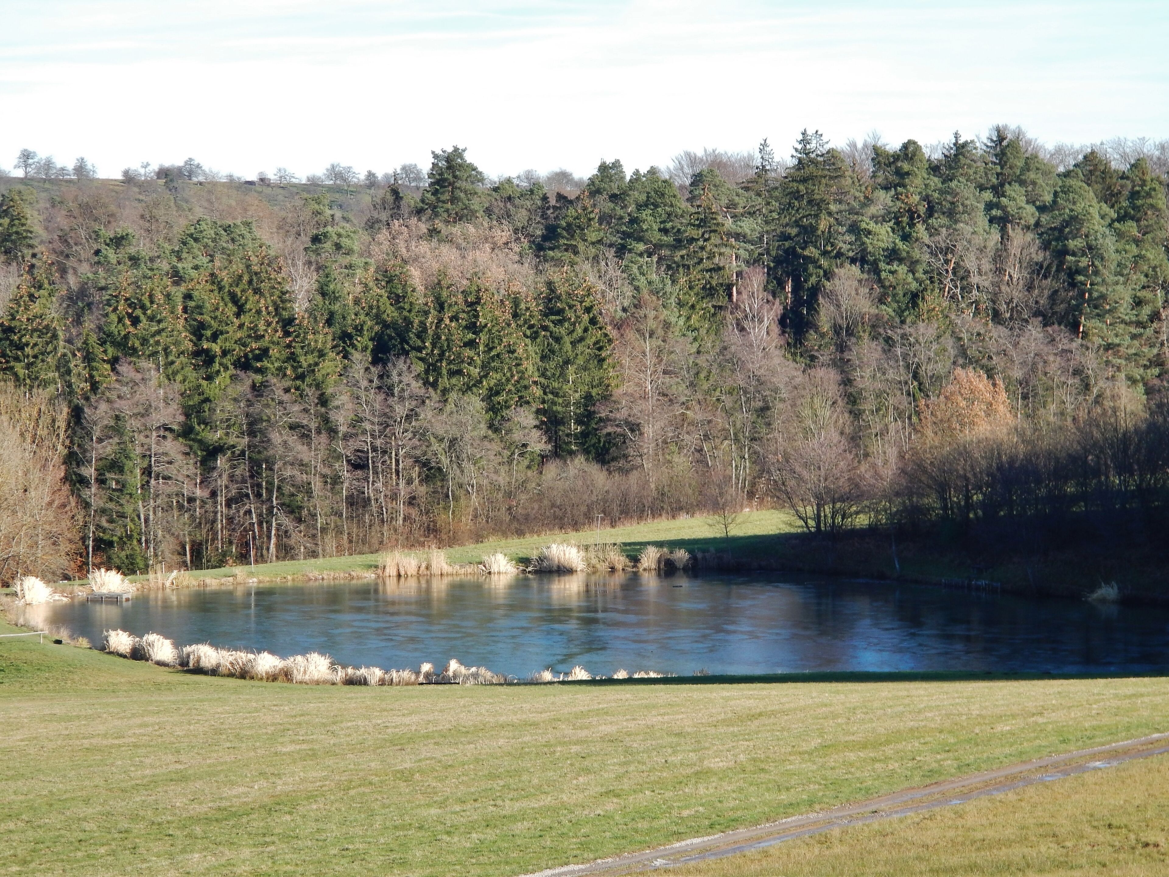 Fischteich mit Riegenbrunnenbach